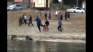 Видео убийства борца Юрия Власко!