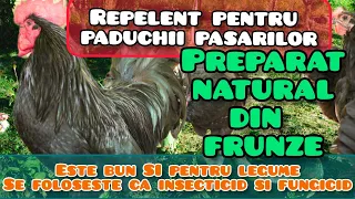 Repelent pentru paduchii pasarilor dar si insecticid si fungicid pentru legume