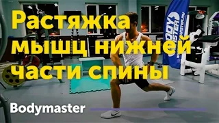 bodymaster : Растяжка мышц нижней части спины с выпадом и разворотом корпуса