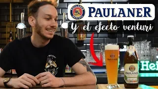 CERVEZA PAULANER 🍺 ¿POR QUÉ SE USAN VASOS LARGOS? 🍻 CURIOSIDADES