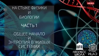 На стыке Физики и Биологии. Диалоги о науке. Часть 1