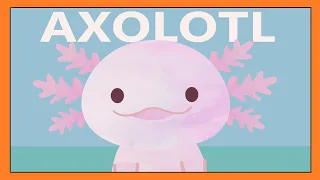 Axolotl Song -  A Fun and Educational Song for Kids │ Smiley Rhymes