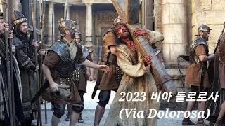 2023 비아 돌로로사 (Via Dolorosa) / 고난의 길