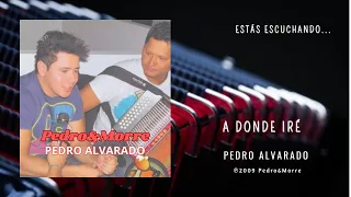 Pedro Alvarado | A Donde Iré - Audio