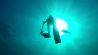 Spearfishing and Freediving South West Australia