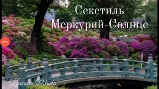 Секстиль МЕРКУРИЙ-СОЛНЦЕ.Hanna Pihida