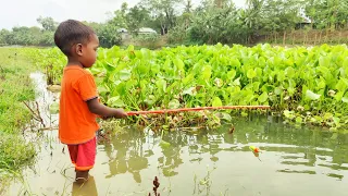 Best Hook fishing 2022✅|Little Boy hunting fish by fish hook From Beautiful  nature🥰🥰(Part-78)