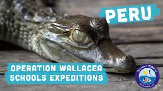 Operation Wallacea - Peru Schools Expedition