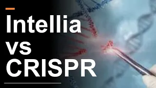 Intellia Stock vs CRISPR Stock: The Winner Is?