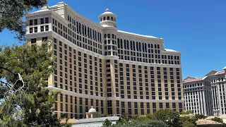 Bellagio/ Las Vegas quick conservatory, fountains and gardens tour.#lasvegas #casino