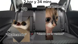 viaje a la plaza de juegos (meme de gatos)a