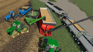 Building A$100Million Dollar MEGA Farm Ep#5|FS19 Timelapse|Farming Simulator 19 Timelapse|CountyLine