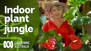 The Jungle Within | Indoor plants | Gardening Australia