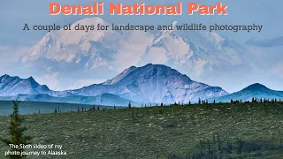 Denali National Park | Landscape Photography | Wildlife Photography