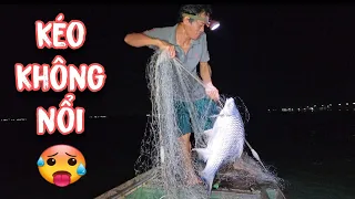 Bẹc-Giê Sa Lưới Anh Nghĩa , Con Nào Con Nấy Nhìn Đã Mắt Quá | #66TV #fishing