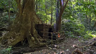 Build a Bushcraft house out of vines under a giant tree. Hunting to survive in the wild