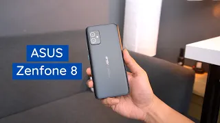 Gak banyak yg ksh tau soal ini.. - Review ASUS Zenfone 8. test pubg, foto, video,antutu