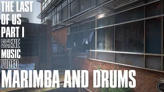 Marimba and Drums | The Last of Us Part I Scene Music Video