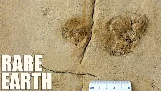 Does this Footprint Change History by Millions of Years?