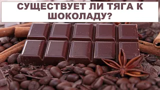 СУЩЕСТВУЕТ ЛИ ТЯГА К ШОКОЛАДУ?