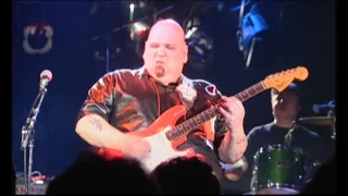 Popa Chubby - I Can't See the Light of Day (Live)