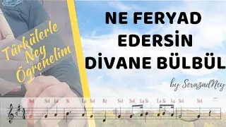 NE FERYAT EDERSİN DİVANE BÜLBÜL | Türkülerle Ney Öğrenelim (nota-parmak takibi)