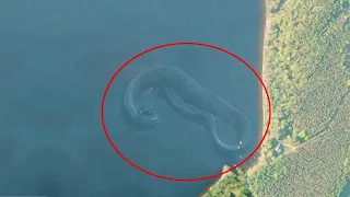7 Mysterious Deep Sea Creatures Spotted On Google Earth | WealthyMen