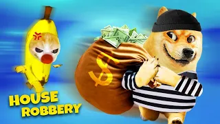 Baby Banana Cat Compilation 😺 🍌 🐱 Banana Cat vs Robber Dog 😿🐶  | Happy Cat Crying MEME 😿
