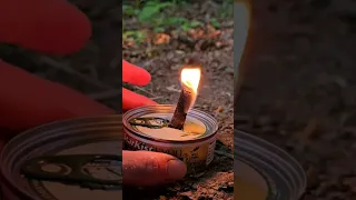 Survival Hack - Tuna Cattail Stove/Candle - heat water and tuna at the same time 🐟🔥