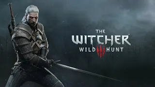 The Witcher 3 : Wild Hunt - Day 12 // Hearts of Stone DLC - Part 1