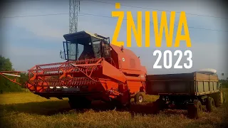 🌾 ŻNIWA 2023 🔥 Bizon Rekord Z058 🚜 RolCeb