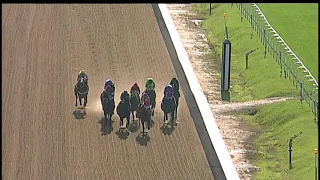 Laurel Park 10 15 2020 Race 8