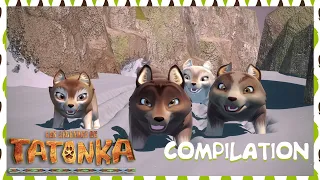 Tatonka en Français 🐺 Nouvelle Compilation 🐺 Un ami à sauver 🐺 Dessin animé de loups
