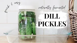 The BEST Quick & Easy Homemade Dill Pickles | Naturally Fermented Dill Pickles | Fermenting Recipe