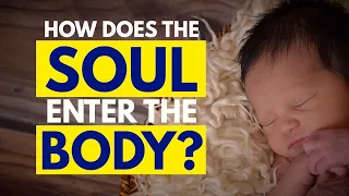 How And When Does The Soul Enter The Human Body & Where Does It Reside| Daaji | Heartfulness