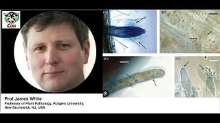 Dr. James White - Rhizophagy, Seeds and Food Security