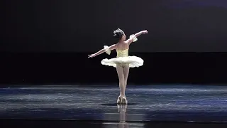 ATOD IDC I Pre-competitive I Classical Ballet solo I HM