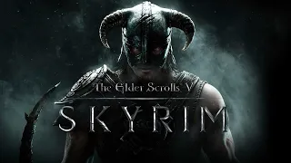 The Elder Scrolls V Skyrim Nintendo Switch Gameplay