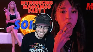 INTRODUCING MAMAMOO! Part 1 Solar & Moonbyul | Reaction