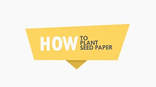 How to Plant Seed Paper? [The Right Way!] | Planting Instructions for Plantable Seed Paper