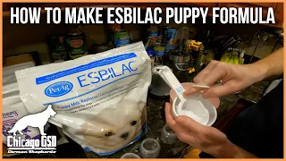 How To Make Esbilac Puppy Formula Milk Replacer Prepare Mix & Warm Up