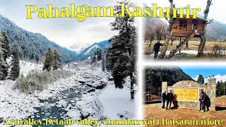 Pahalgam-Kashmir|activity in Pahalgam|Aru velly|Betabvelly|Chandanwadi|Baisaranvelly|miniSwitzerland