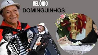 Velório do Sanfoneiro Dominguinhos | Vida e morte de Dominguinhos