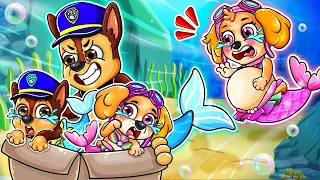 Oh No! Chase MERMAID Is Not A Bad Guy?! - Very Sad Story - Paw Patrol Ultimate Rescue - Rainbow 3