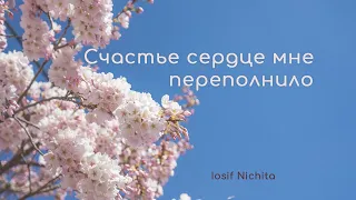 Счастье сердце мне переполнило | Аккомпанемент без голоса | Iosif Nichita