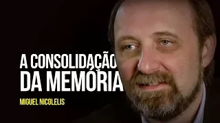 Miguel Nicolelis - A consolidação da memória