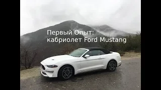 3000 км по США на кабриолете Ford Mustang: в чем прикол кабриолета