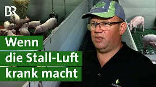 Schädlich für die Umwelt: Wie Emissionen im Schweinestall reduzieren? | Gülle | Unser Land | BR