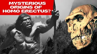Dark Origins of The Most Successful Ancient Human: Homo Erectus