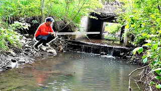 RESCUING BIG FISH from TINY Flooded Creek! (NEW PETS)